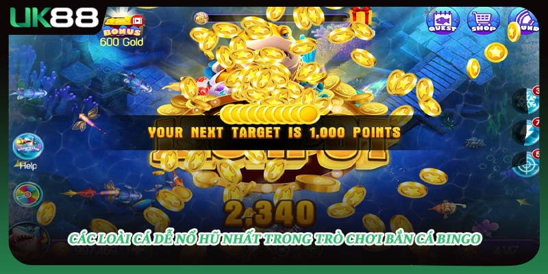 Các loài cá dễ nổ hũ nhất trong trò chơi bắn cá bingo
