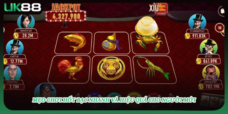 Mẹo chơi hốt bạc nhanh và hiệu quả cho người mới