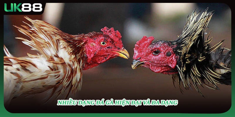 Nhiều dạng đá gà hiện đại và đa dạng